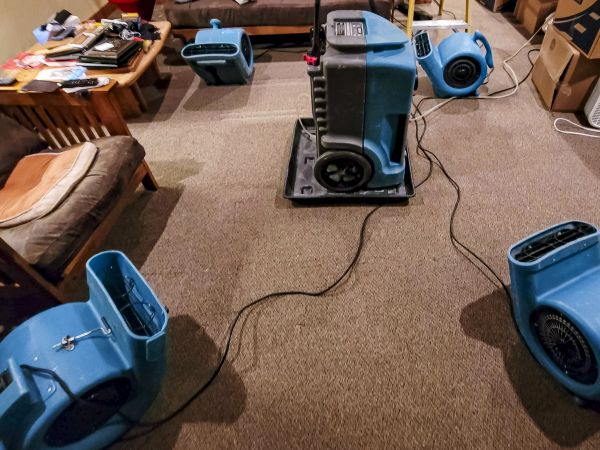 Flood Damage Recovery in Wexford