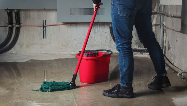 Flooded Basement Cleanup in Wexford