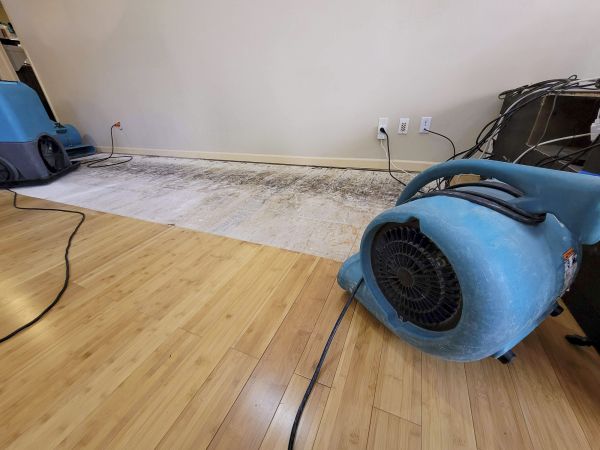 Water Damage Mitigation in Wexford
