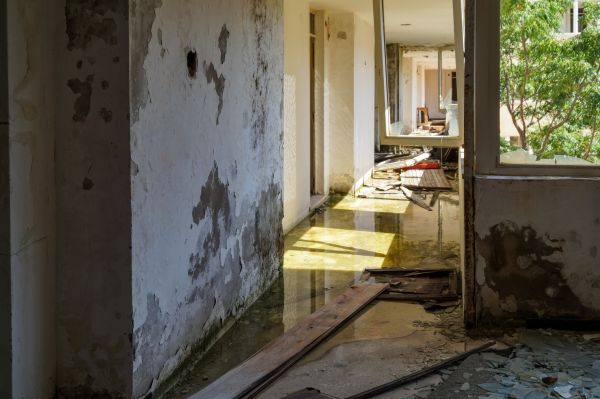 Water Removal Service in Wexford