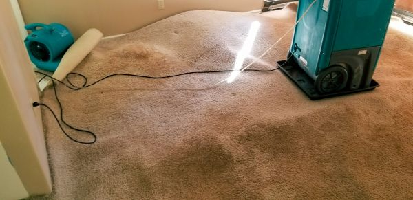 Carpet Water Extraction in Wexford