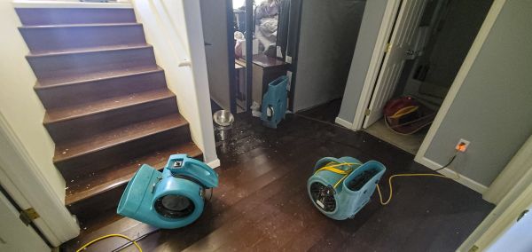 Water Damage Remediation in Wexford
