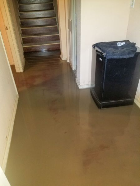 Emergency Water Removal in Wexford