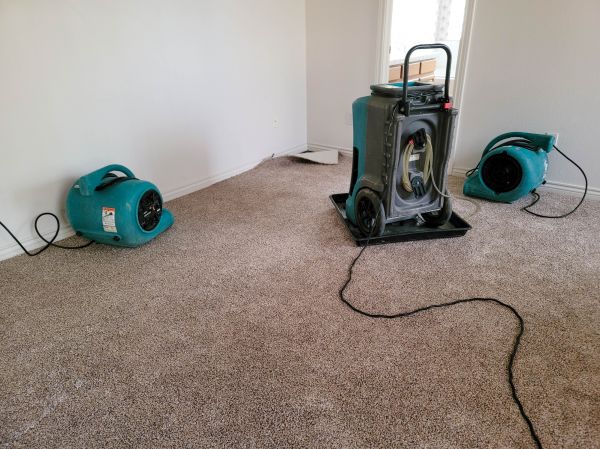 Water Damage Repair in Wexford