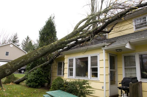 Storm Damage Mitigation in Wexford