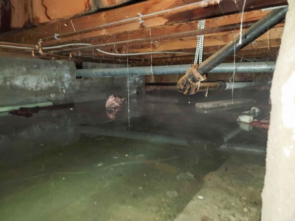 Crawlspace Water Restoration in Wexford